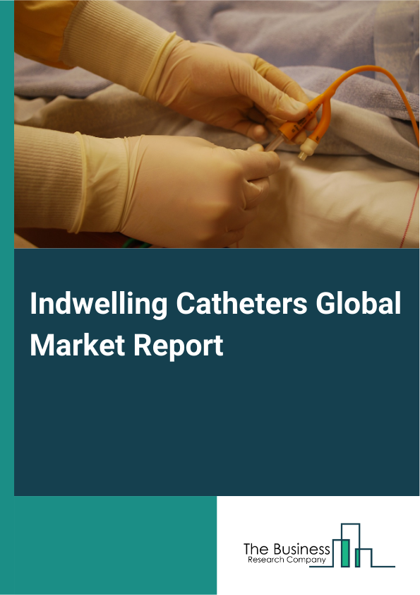 Global Indwelling Catheters Market Report 2025