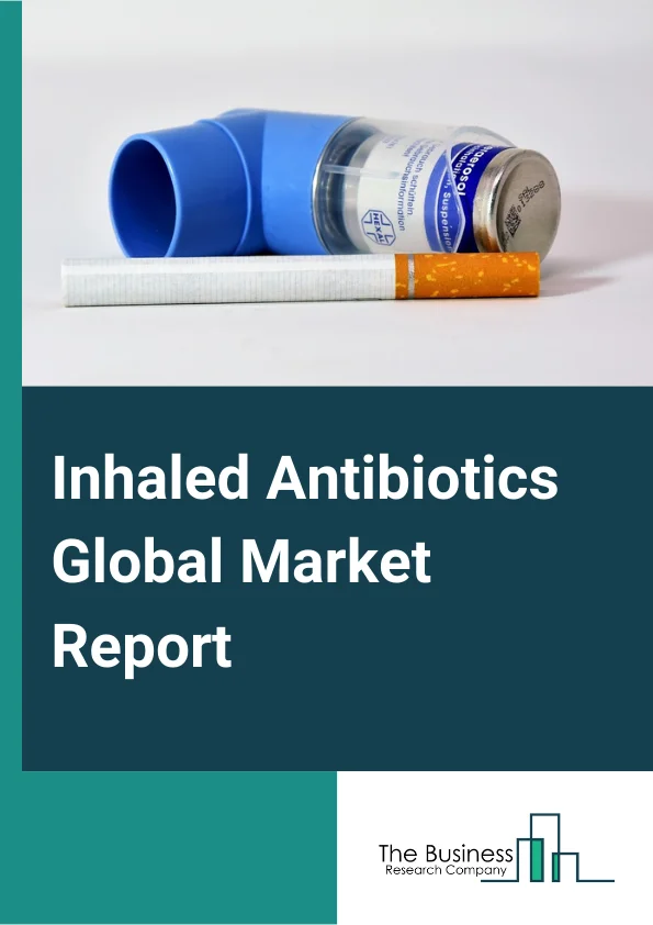 Inhaled Antibiotics Global Market Report 2024 – By Product Type( Aerosol or Metered Dose Inhaler, Dry Powder Formulation, Spray, Other Types), By Application( Pneumonia, Asthma, Bronchitis, Other Applications), By End-User( Hospitals, Other End Users) – Market Size, Trends, And Global Forecast 2024-2033