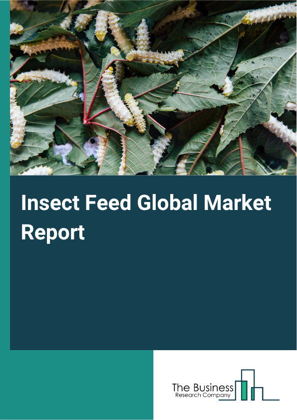 Insect Feed Market Size and growth rate 2025 to 2029: Graph