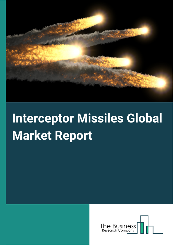 Global Interceptor Missiles Market Report 2025
