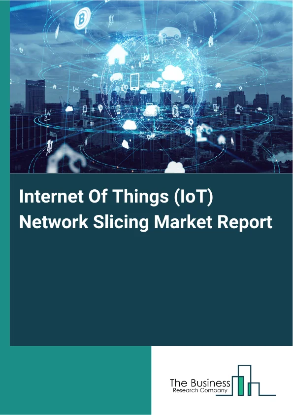 Internet Of Things (IoT) Network Slicing Market Report Infographic Image