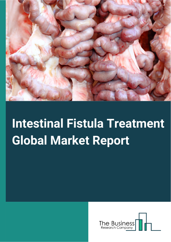 Global Intestinal Fistula Treatment Market Report 2025