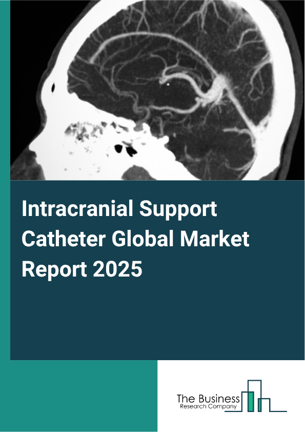 Global Intracranial Support Catheter Market Report 2025