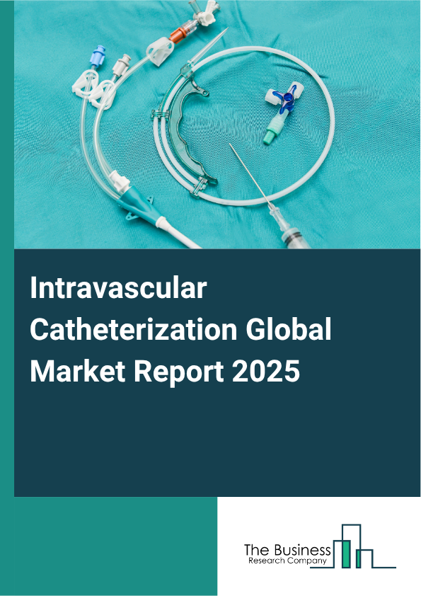 Global Intravascular Catheterization Market Report 2025