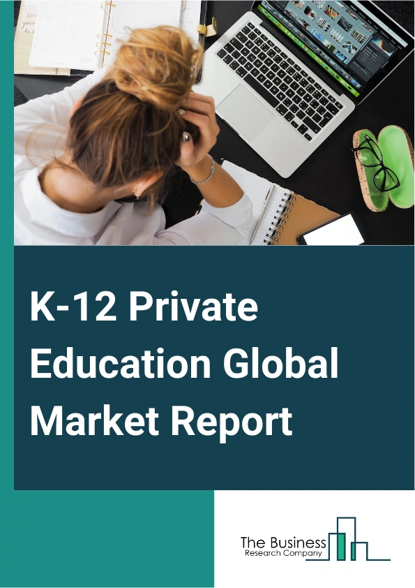 Global K-12 Private Education Market Report 2025