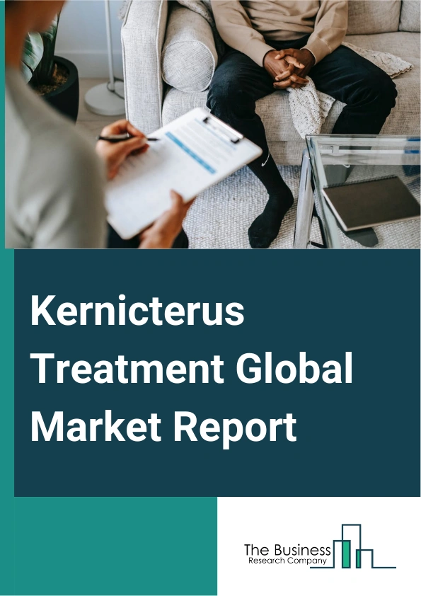 Global Kernicterus Treatment Market Report 2025