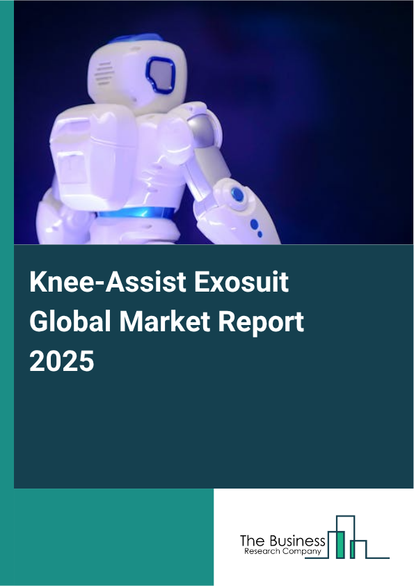 Knee-Assist Exosuit Market Report Infographic Image