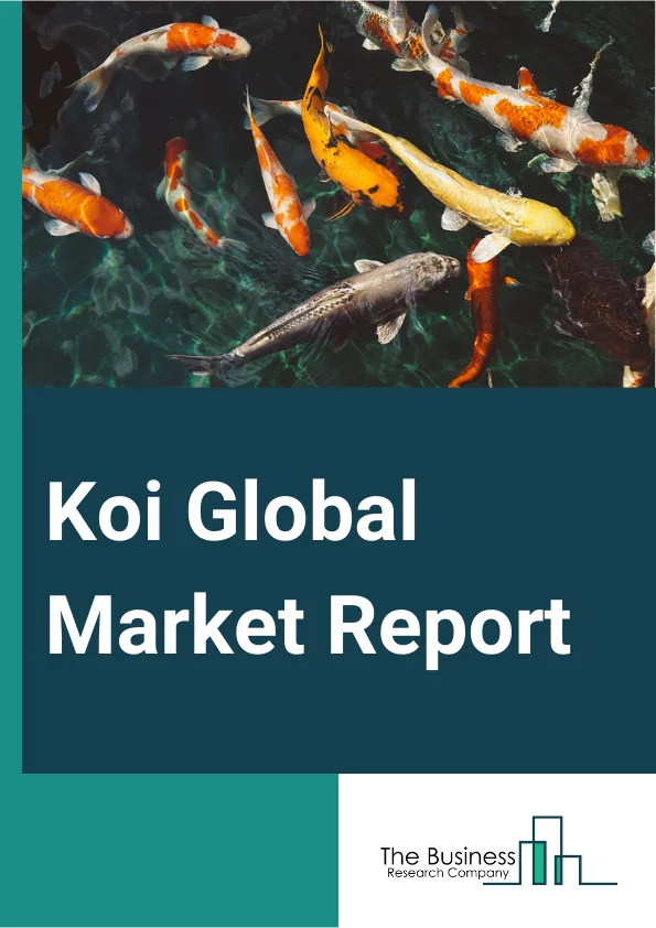 Koi