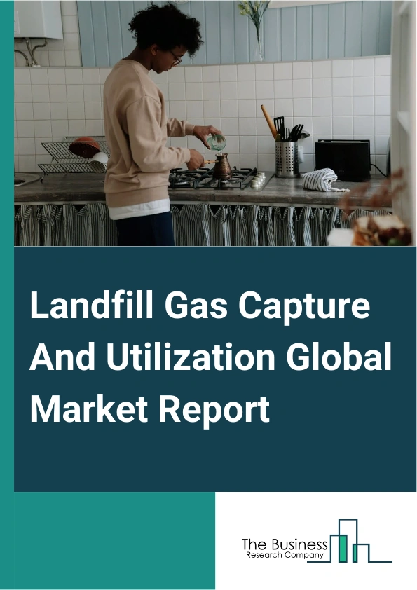 Global Landfill Gas Capture And Utilization Market Report 2025