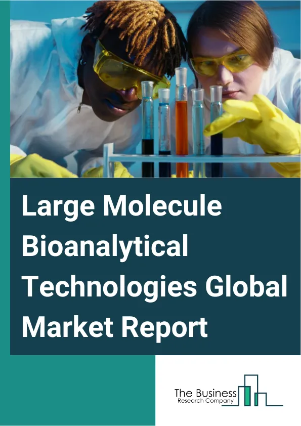Large Molecule Bioanalytical Technologies Global Market Report 2025 – By Product And Services (Products, Services), By Technology (Chromatography, Mass Spectrometry, Enzyme-Linked Immunosorbent Assay, Electrophoresis, Polymerase Chain Reaction, Western Blot, Flow Cytometry, Spectrometer, Other Technologies), By Application (Biologics, Oligonucleotide Derived Drugs And Molecules, Viral Vector, Cell And Gene Therapy, Nanoparticles And Polymers, Disease Diagnosis, Other Applications) – Market Size, Trends, And Global Forecast 2025-2034