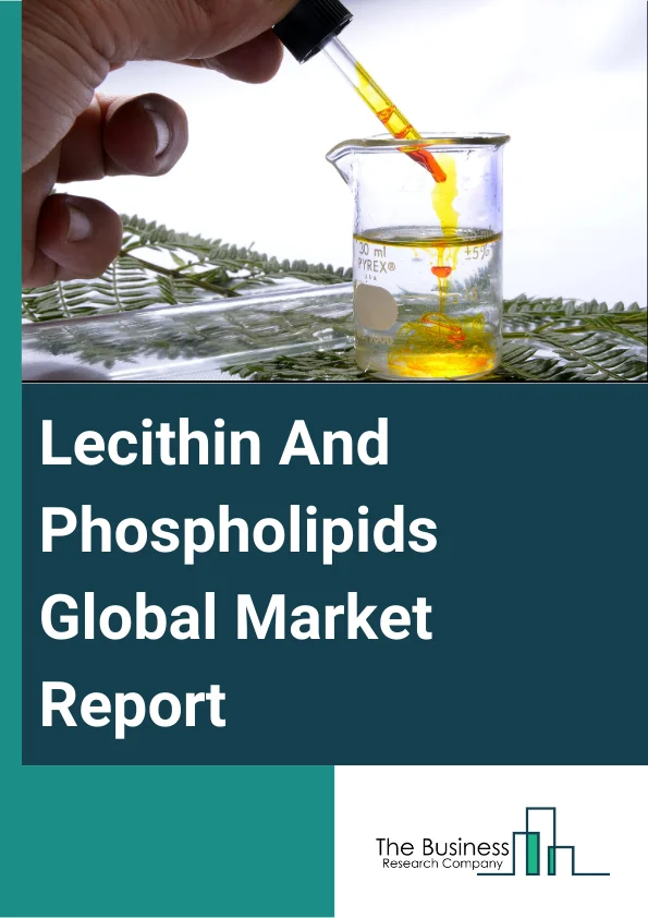 Global Lecithin And Phospholipids Market Report 2024