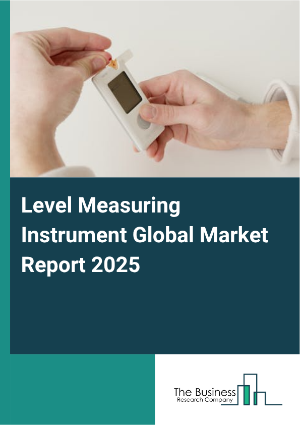 Global Level Measuring Instrument Market Report 2025