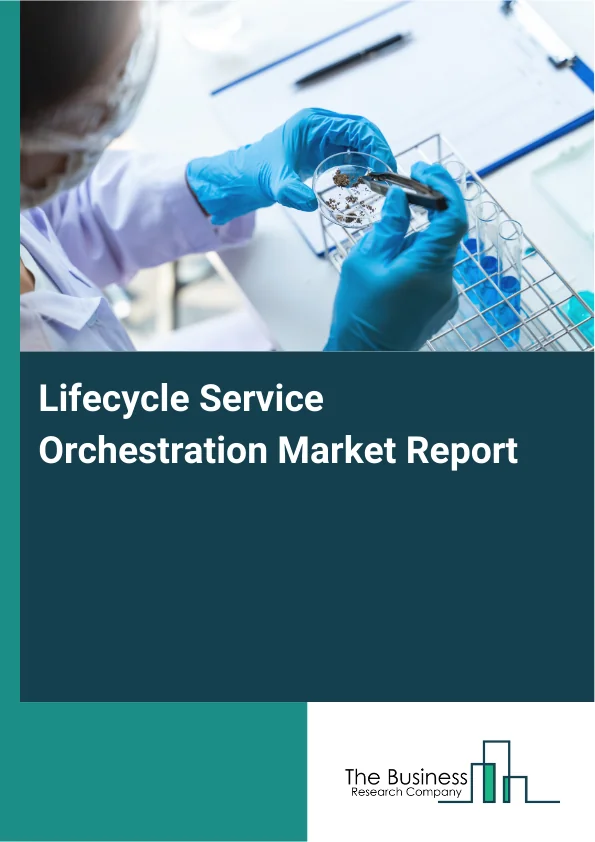 Lifecycle Service Orchestration Market Report Infographic Image