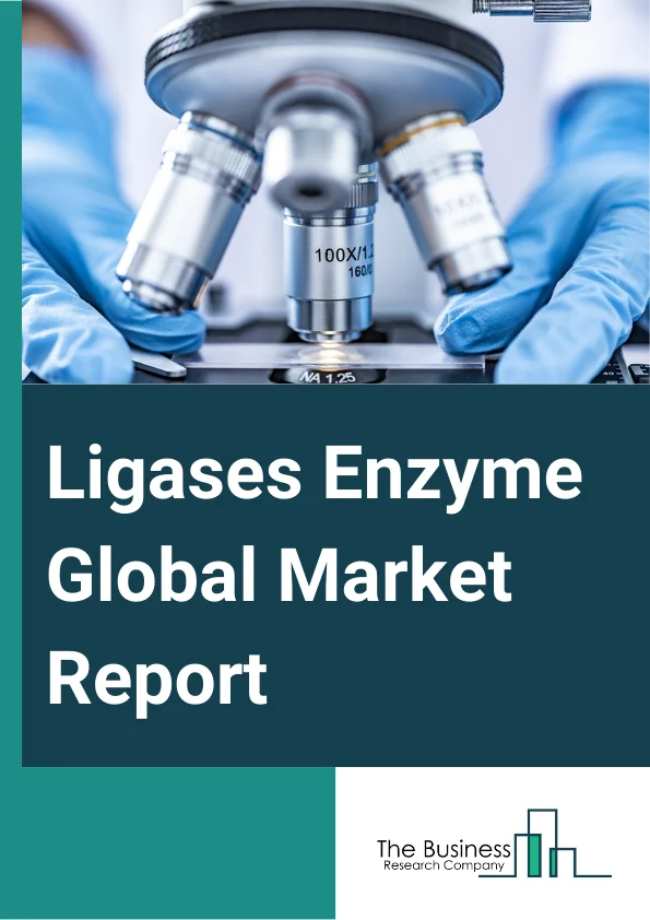 Ligases Enzyme