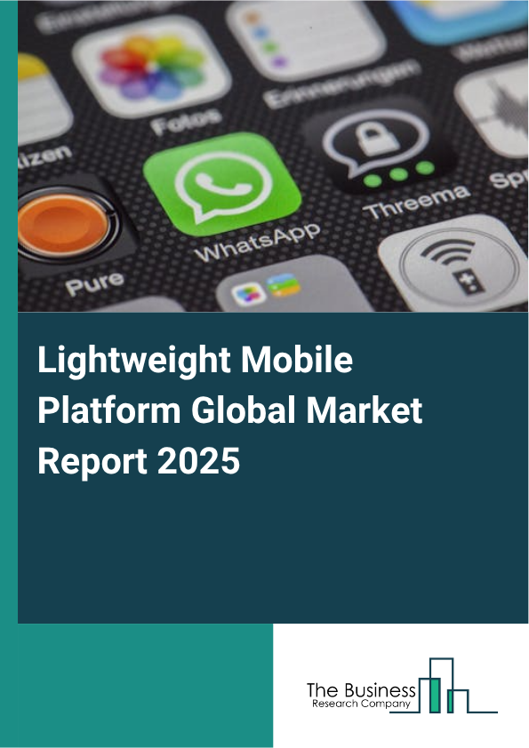 Lightweight Mobile PlatformReport Infographic Image