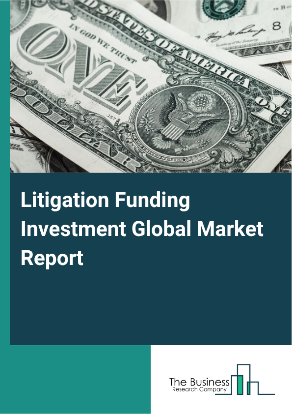 Litigation Funding Investment Market Size and growth rate 2025 to 2029: Graph