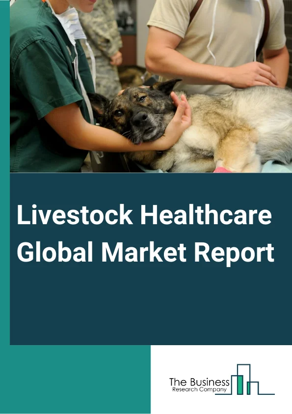 Livestock Healthcare Global Market Report 2024 – By Product Type (Vaccines, Pharmaceuticals, Feed Additives, Diagnostics, Other Types), By Livestock Animal (Poultry, Swine, Cattle, Sheep And Goats, Horse, Other Animals), By End User (Reference Laboratories, Point-of-care Testing or In-house Testing, Veterinary Hospitals and Clinics, Other Users) – Market Size, Trends, And Global Forecast 2024-2033