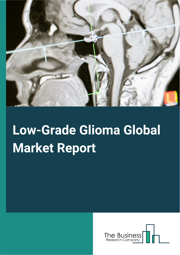 Global Low-Grade Glioma Market Report 2025