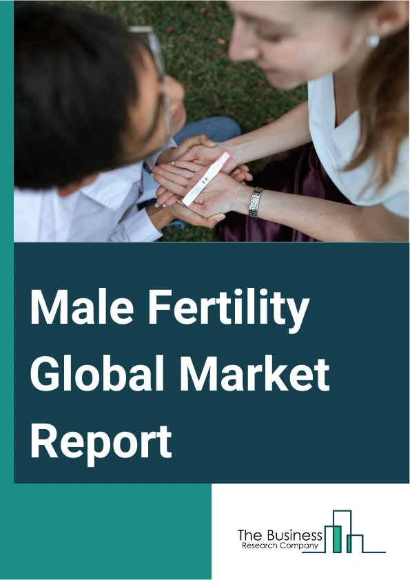 Male Fertility Global Market Report 2025 – By Test Type (Sperm Agglutination, DNA Fragmentation Technique, Oxidative Stress Analysis, Computer Assisted Semen Analysis, Sperm Penetration Assay, Other Test Types), By Treatment Type (Assisted Reproductive Technology, Varicocele Surgery, Medication), By Supplement (Antioxidants, Vitamins, Minerals, Amino Acids, Enzymes), By End User (Hospitals And Clinics, Fertility Centers, Research Institutes, Other End Users) – Market Size, Trends, And Global Forecast 2025-2034