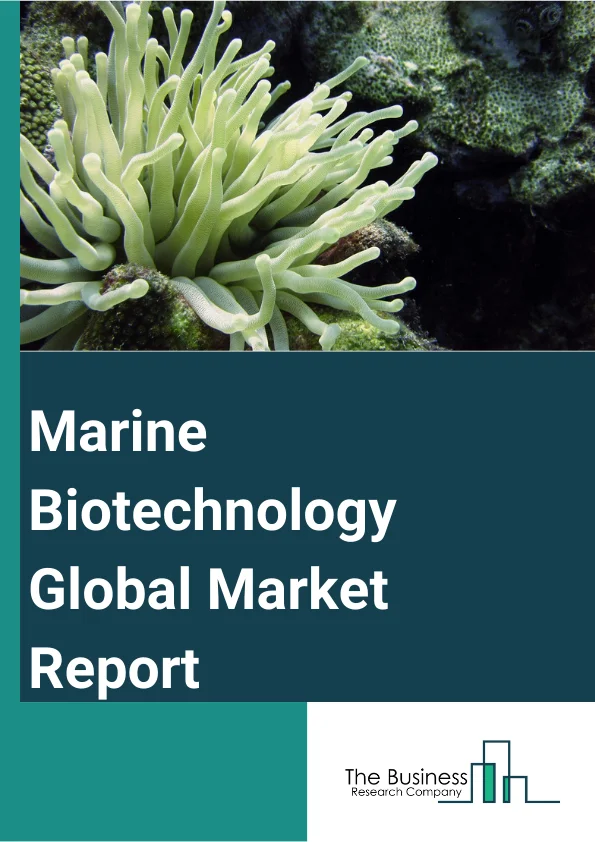 Marine Biotechnology Global Market Report 2024 – By Type (Bio Active Substance, Bio Materials), By Source (Corals And Sponges, Algae, Marine Viruses, Marine Fungi, Other Sources), By Technology (Isolation And Cultivation of Microorganisms, Culture-Independent Techniques), By Application (Aquaculture And Food Products, Environment And Human Health, Drug Discovery), By End User (Medical And Pharmaceutical, Food Industry, Cosmetic Industry, Chemical Industry, Other End Users) – Market Size, Trends, And Global Forecast 2024-2033