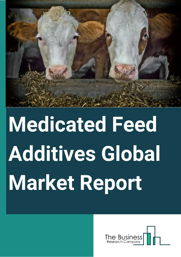 Medicated Feed Additives Global Market Report 2023