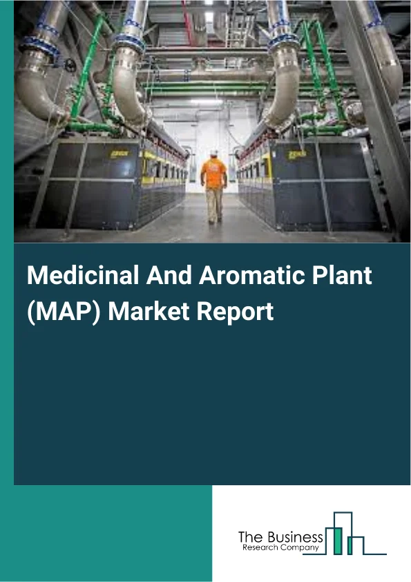 Medicinal And Aromatic Plant (MAP) Market Report Infographic Image