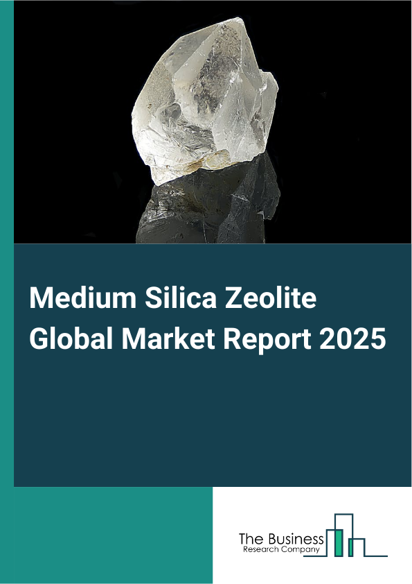 Global Medium Silica Zeolite Market Report 2025