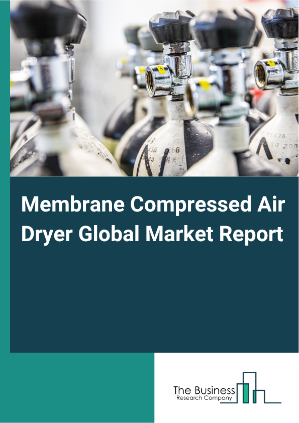 Membrane Compressed Air Dryer Market Size and growth rate 2025 to 2029: Graph
