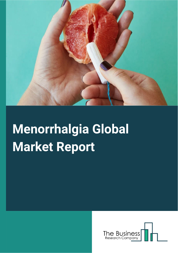 Global Menorrhalgia Market Report 2025