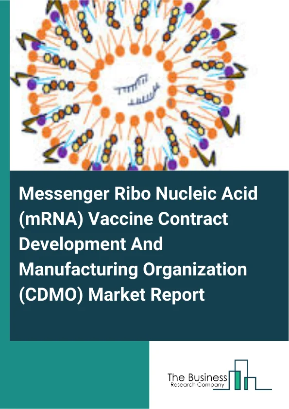 Messenger Ribo Nucleic Acid (mRNA) Vaccine Contract Development And Manufacturing Organization (CDMO) Market Report Infographic Image