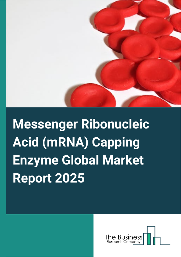 Global Messenger Ribonucleic Acid (mRNA) Capping Enzyme Market Report 2025
