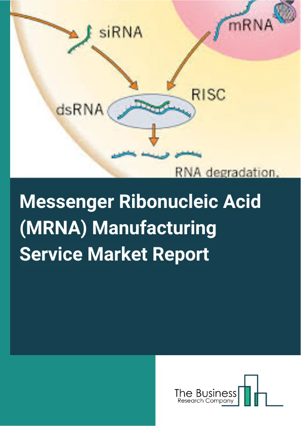 Messenger Ribonucleic Acid (MRNA) Manufacturing Service Market Report Infographic Image