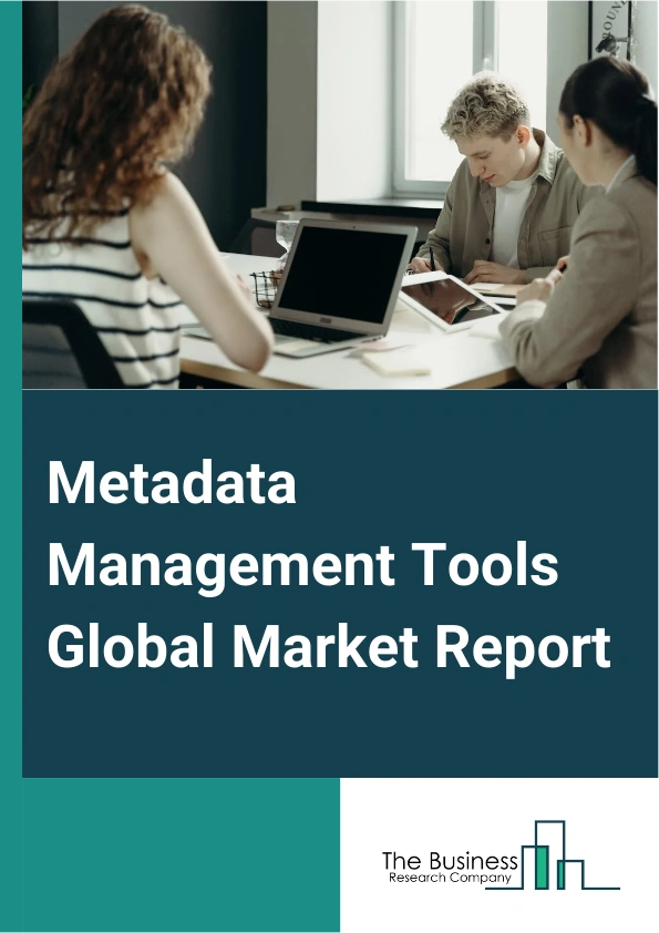 Global Metadata Management Tools Market Report 2025