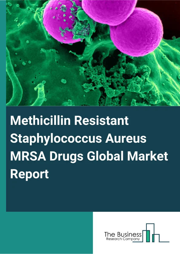Methicillin-Resistant Staphylococcus Aureus (MRSA) Drugs Global Market Report 2025 – By Drug Class (Lipopeptides, Oxazolidinones, Cephalosporin, Tetracycline, Folate Antagonist, Lipoglycopeptide, Other Drug Classes), By Indication (Skin Infections, Bone and Joint Infections, Bacteremia, Animal Infections), By MRSA Type (Hospital-Acquired (HA-MRSA), Community-Acquired (CA-MRSA) ), By Route of Administration (Oral Administration, Parenteral Administration), By End User (Hospitals and Clinics, Research and Academic Institutes, Other End-Users) – Market Size, Trends, And Global Forecast 2025-2034