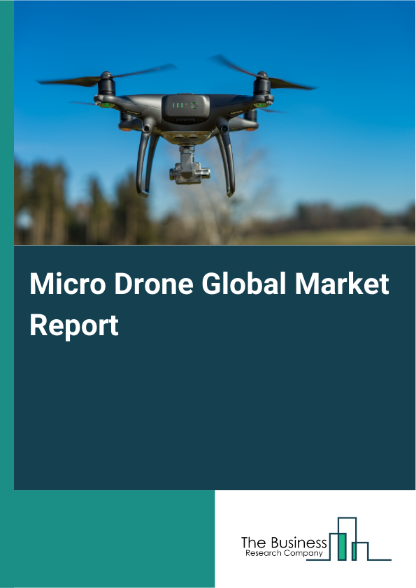 Global Micro Drone Market Report 2025