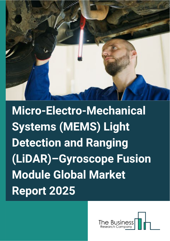 Global Micro-Electro-Mechanical Systems (MEMS) Light Detection and Ranging (LiDAR)_Gyroscope Fusion Module Market Report 2025
