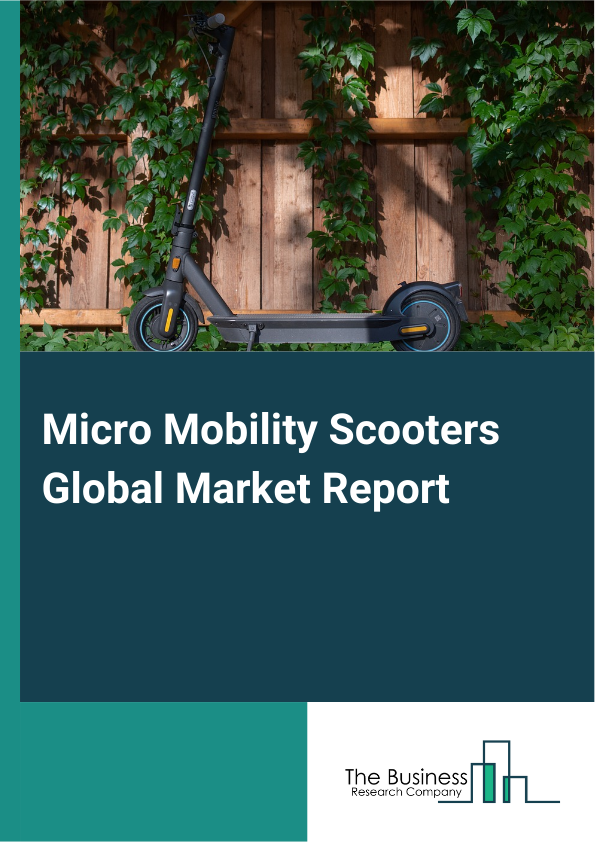 Micro Mobility Scooters