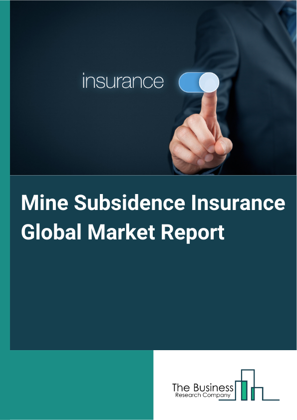 Global Mine Subsidence Insurance Market Report 2025 