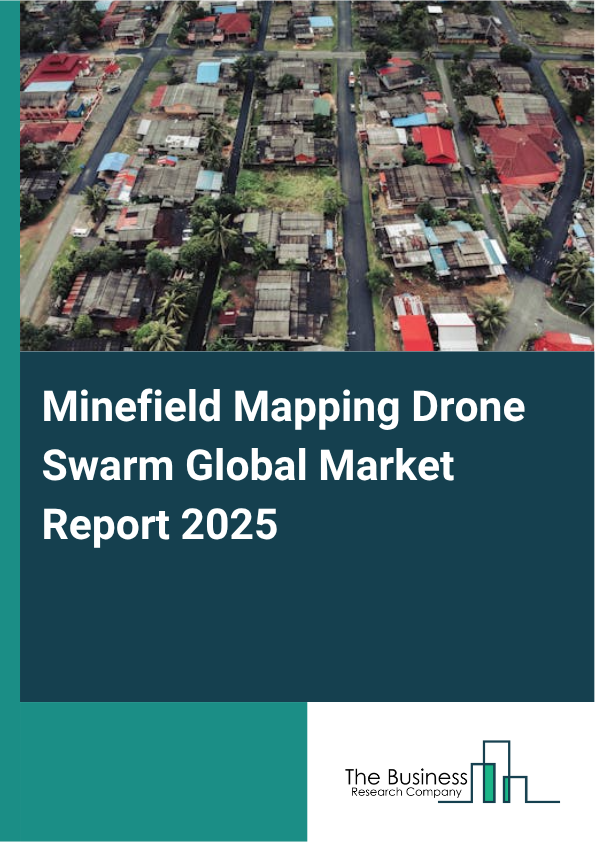 Global Minefield Mapping Drone Swarm Market Report 2025