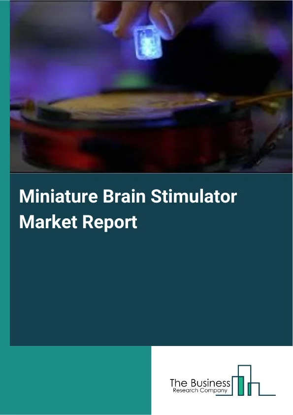 Miniature Brain Stimulator Market Report Infographic Image