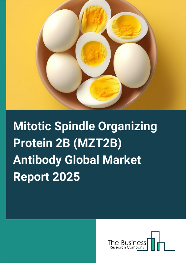 Global Mitotic Spindle Organizing Protein 2B (MZT2B) Antibody Market Report 2025