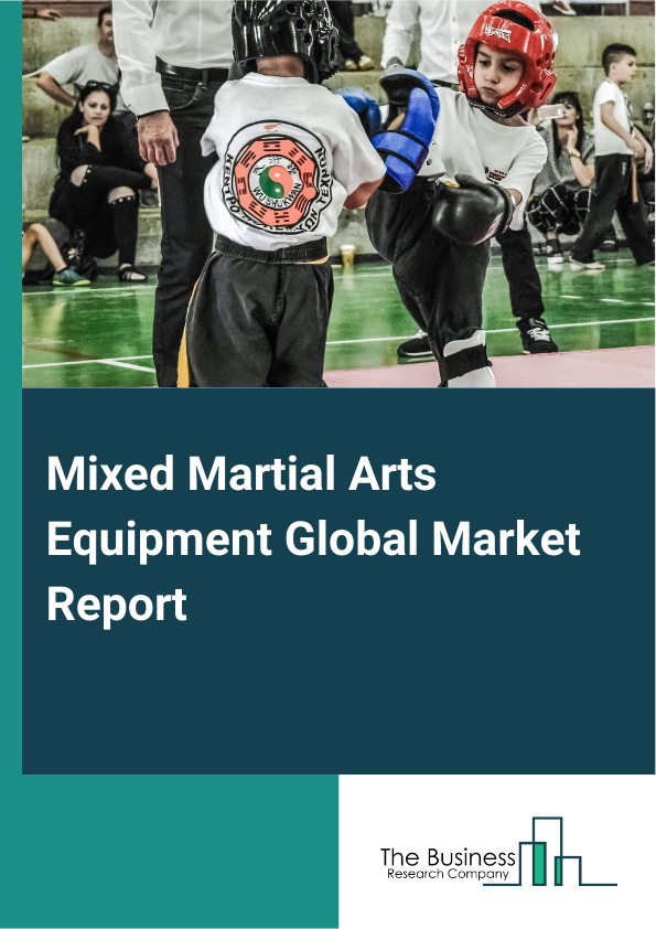 Global Mixed Martial Arts Equipment Market Report 2025