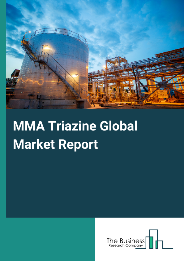 Global MMA Triazine Market Report 2025