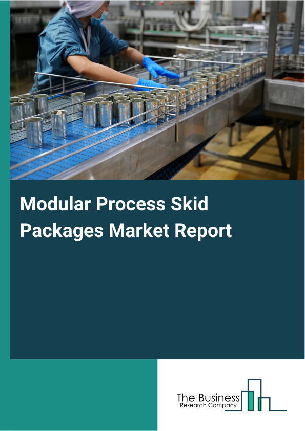 Modular Process Skid Packages Market Report Infographic Image