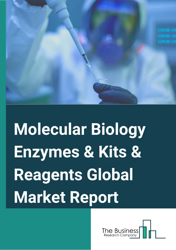 Molecular Biology Enzymes & Kits & Reagents Global Market Report 2024 – By Product( Kits and Reagents, Enzymes, Polymerases, Ligases, Restriction Endonucleases, Reverse Transcriptases, Other Enzymes), By Application( Sequencing, Cloning, PCR, Epigenetics, Restriction Digestion, Other Applications), By End Users( Academic and Research Institutes, Pharmaceutical and Biotechnology companies, Hospitals and Diagnostic Centers, Other End Users) – Market Size, Trends, And Global Forecast 2024-2033