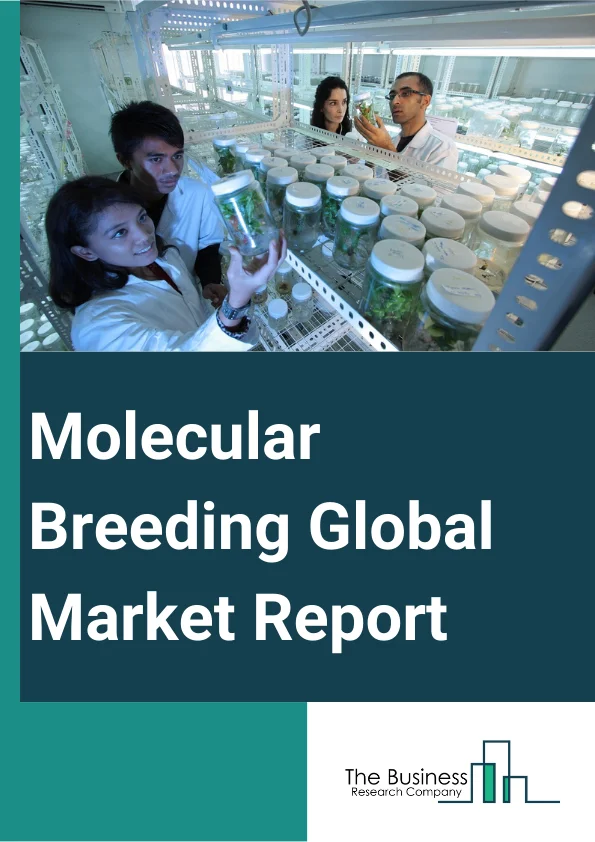 Global Molecular Breeding Market Report 2024