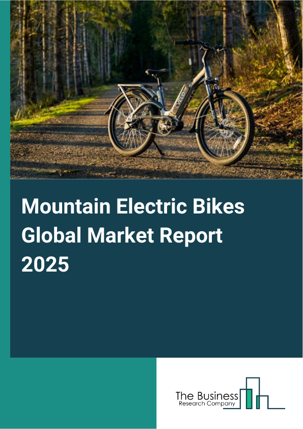 Global Mountain Electric Bikes Market Report 2025