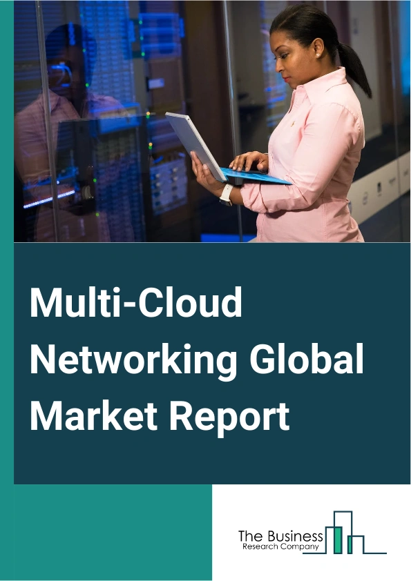 Global Multi-Cloud Networking Market Report 2025