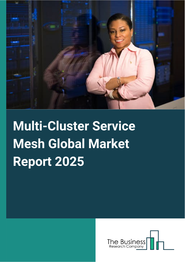 Global Multi_Cluster Service Mesh Market Report 2025