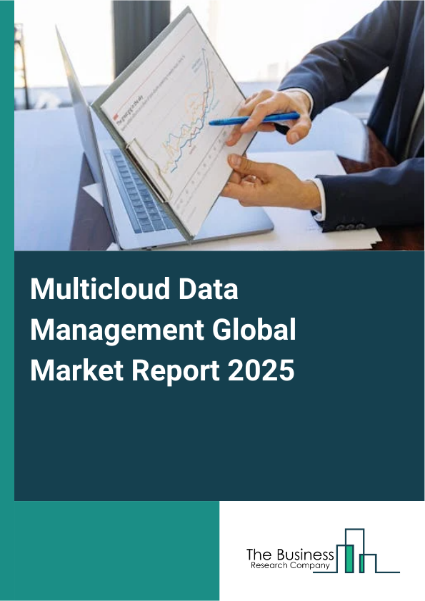 Global Multicloud Data Management Market Report 2025